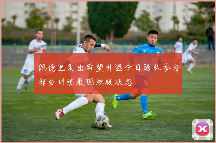 佩德里复出希望升温今日随队参与部分训练展现积极状态
