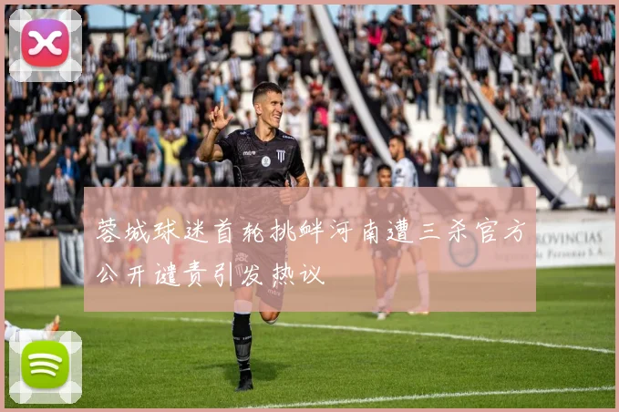 蓉城球迷首轮挑衅河南遭三杀官方公开谴责引发热议