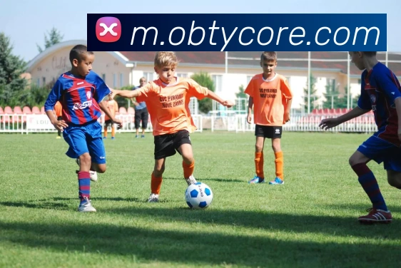 ob体育服务体系